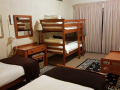 Loft Bunk Beds