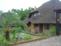 Shongwe Ingwe