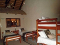 Shongwe Ingwe