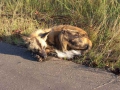 Kruger National Park