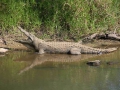 Kruger National Park