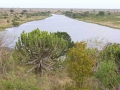 Kruger National Park