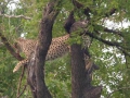 Kruger National Park