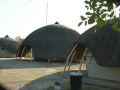 Kruger National Park