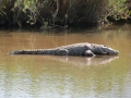 Kruger National Park