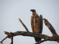 Kruger National Park
