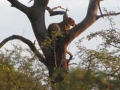 Kruger National Park