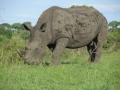 Kruger National Park