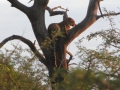 Kruger National Park
