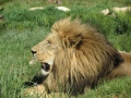 Kruger National Park